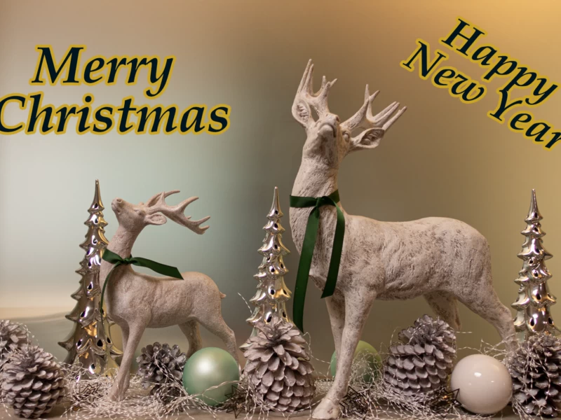Merry Christmas